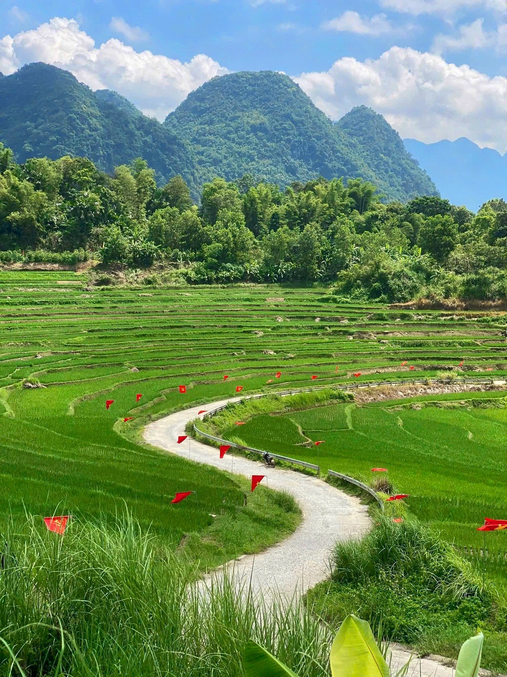 Con đường cờ đỏ sao vàng ở Pù Luông đẹp như tranh, hút khách dịp 2/9 - 2
