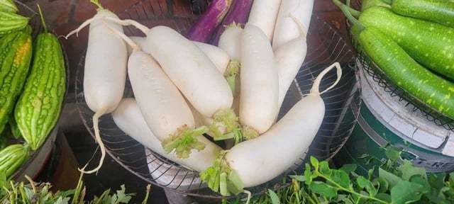 Loại củ ví như ‘nhân sâm mùa thu’ vào chính vụ, giá rẻ bèo, giúp thải độc gan, kiểm soát đường huyết- Ảnh 3.
