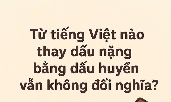 Từ Tiếng Việt nào thay dấu nặng bằng dấu huyền vẫn không đổi nghĩa?