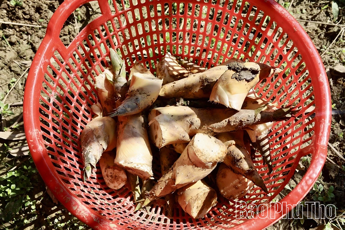 Unike Luc Truc bambusskudd