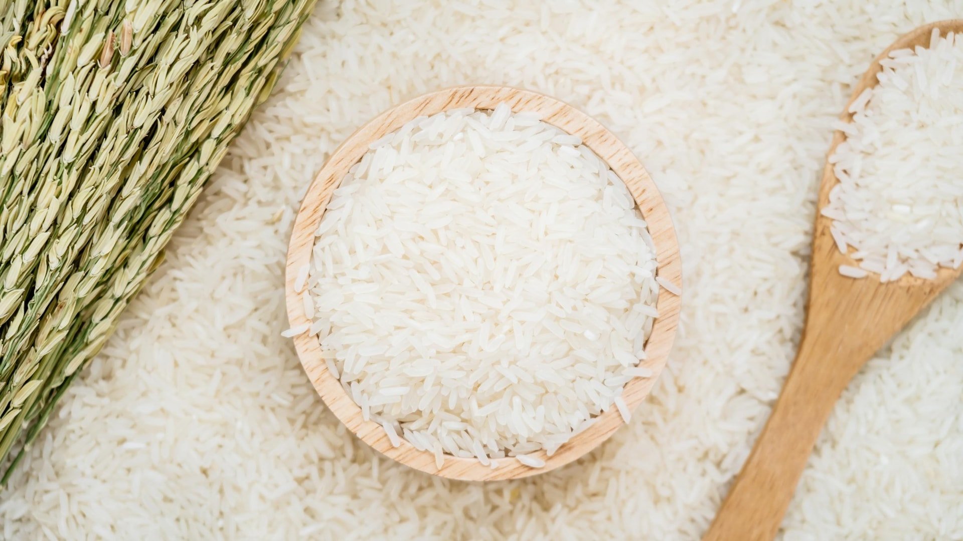 Rice price today August 21: Vietnam's rice export price jumps to lead the world