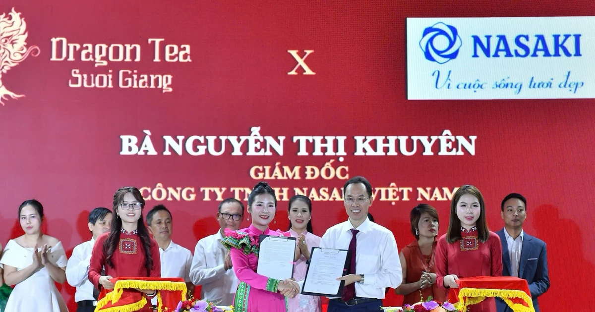 إطلاق العلامة التجارية شاي التنين Suoi Giang
