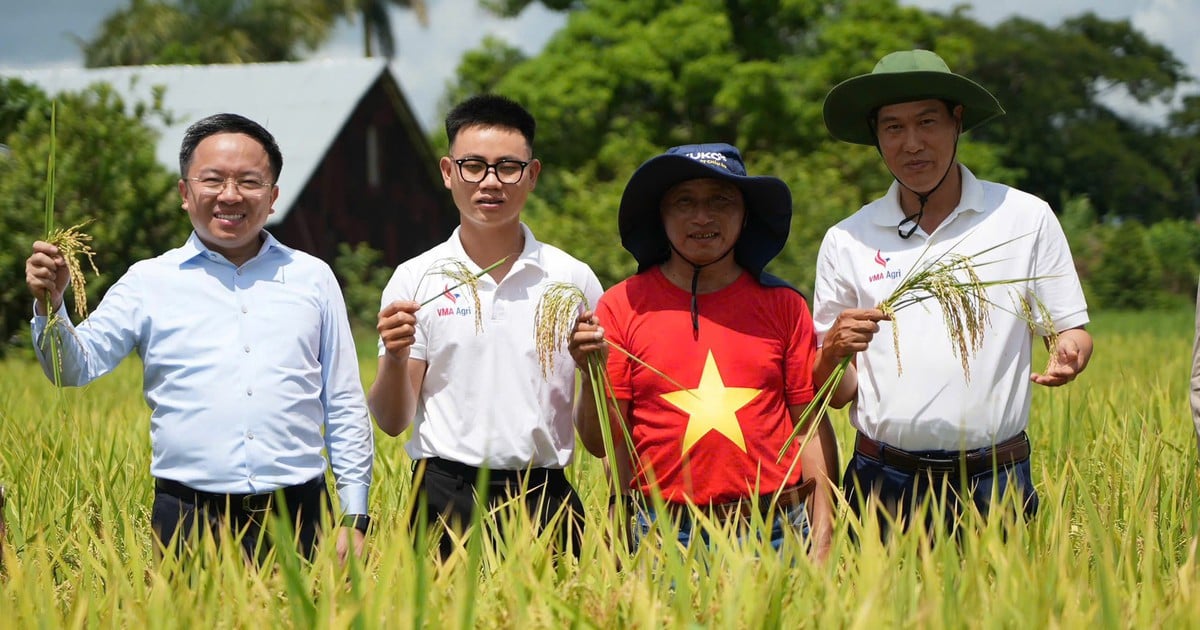 VTV đặc biệt: 'Hạt giống hạnh phúc'