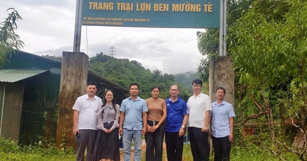Khảo sát mô hình liên kết phát triển xây dựng nông thôn mới