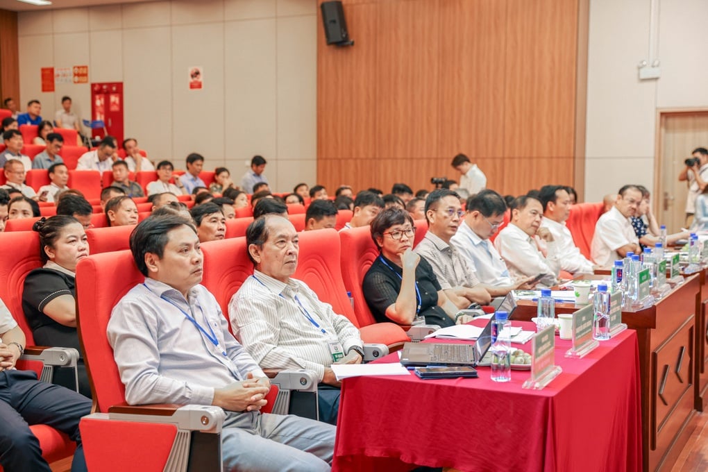 Hội thảo toàn quốc về chất thải rắn tổ chức tại điện rác Seraphin - AMACCAO - 2