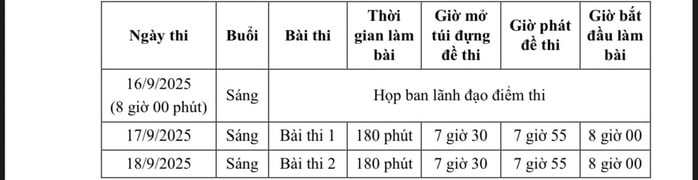 TP HCM tổ chức thi học sinh giỏi ở cả 3 khu vực vào hai ngày 17, 18-9 - Ảnh 2.