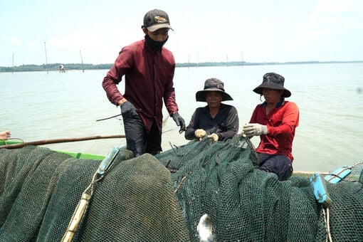 Phấn đấu tăng trưởng khu vực nông - lâm - thủy sản trên 4%