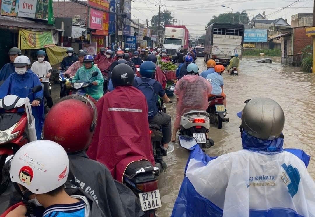 a431.buying-dong-nai.jpg