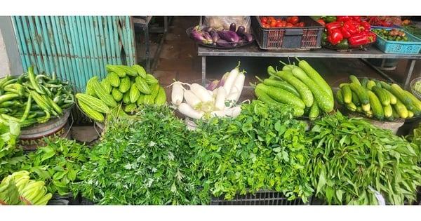Loại củ ví như ‘nhân sâm mùa thu’ vào chính vụ, giá rẻ bèo, giúp thải độc gan, kiểm soát đường huyết