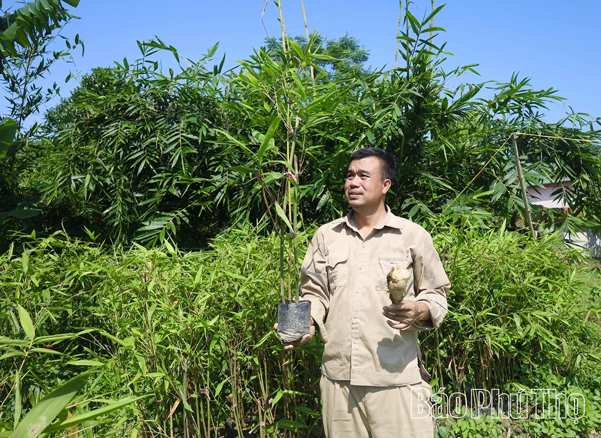 Unike Luc Truc bambusskudd