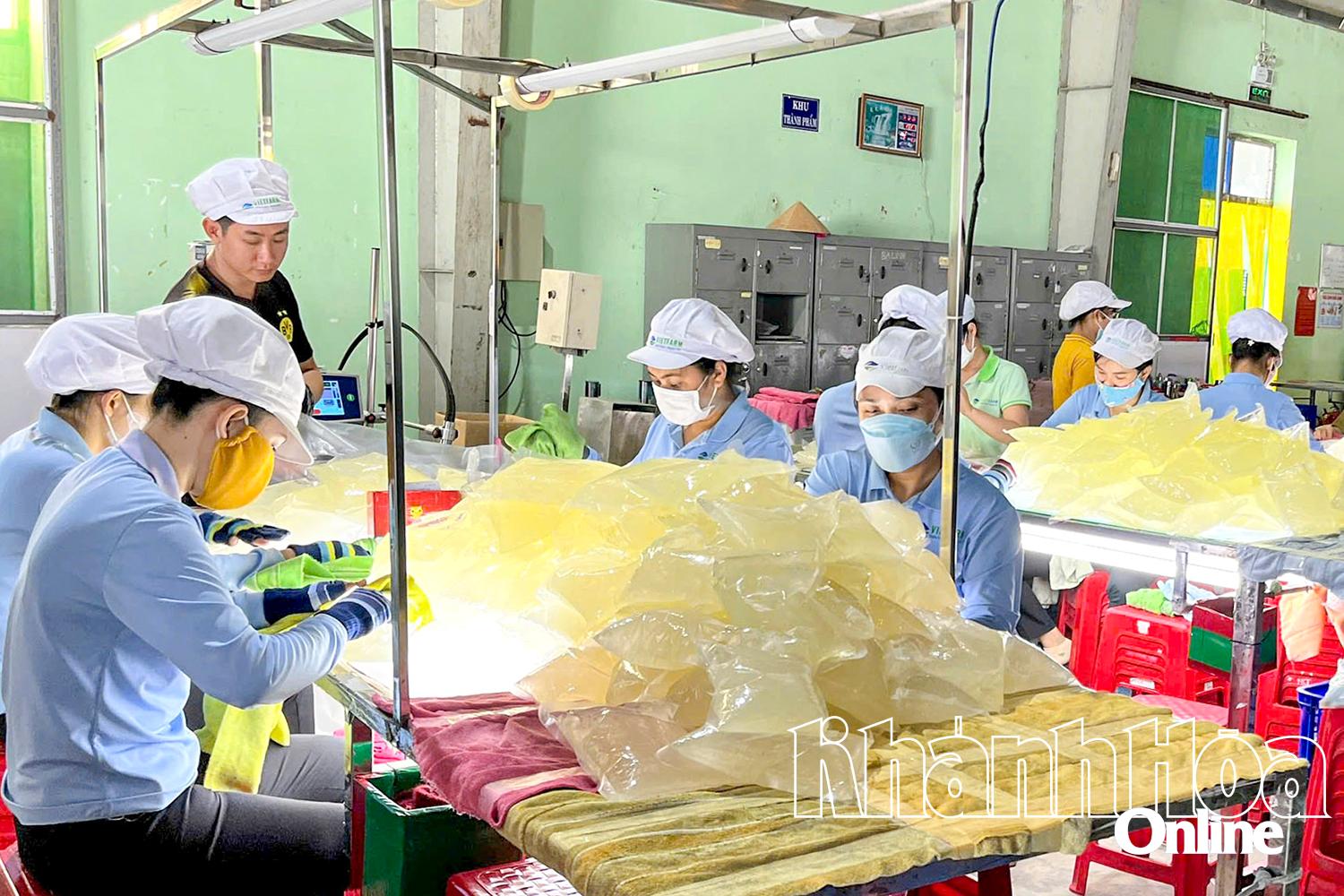 Verarbeitung von Aloe-Vera-Produkten bei der Canh Dong Viet Food Joint Stock Company (Thanh Hai Industrial Park).