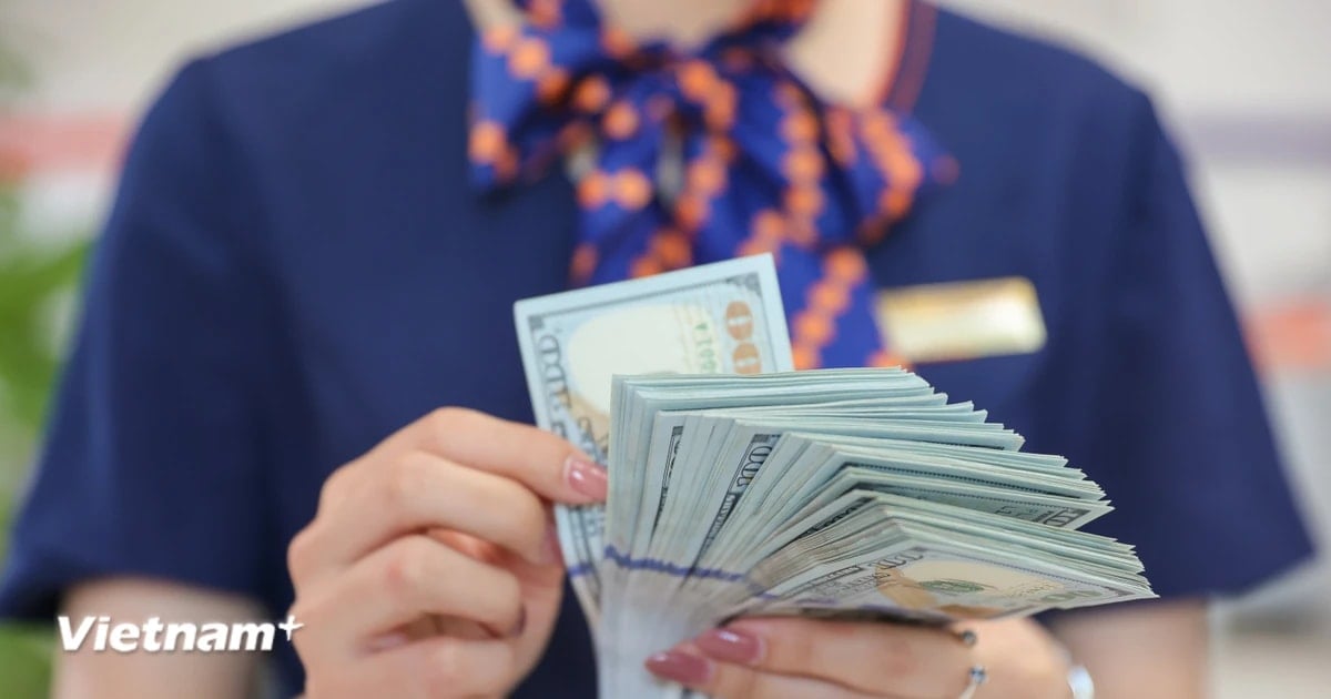 Tỷ giá USD thiết lập mặt bằng mới, vượt mốc 26.500 đồng