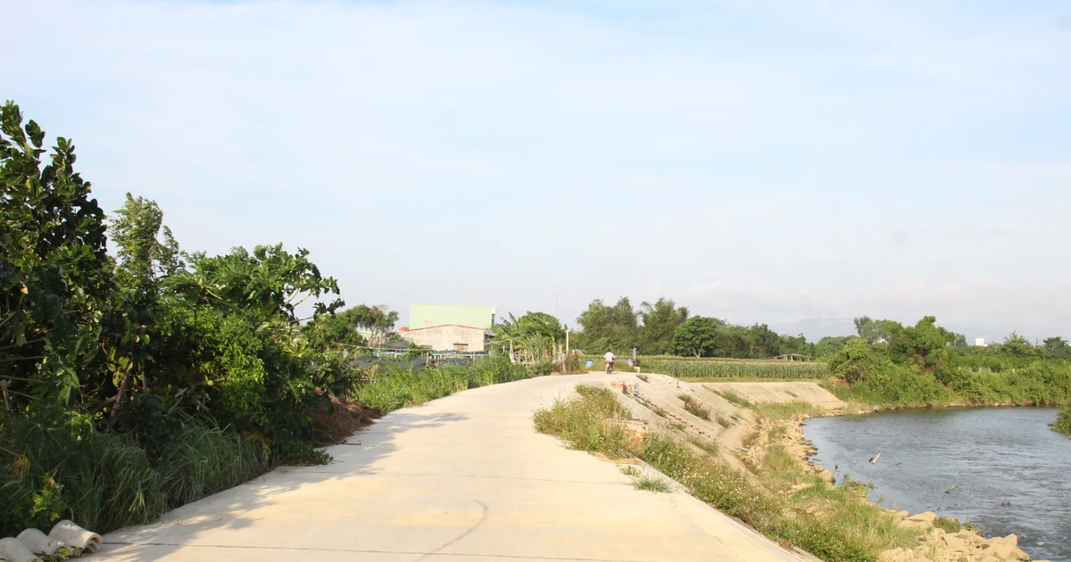 Gia Lai: Mehr als 195 Milliarden VND zur Verstärkung von mehr als 7 km Bewässerungskanälen in 3 Ortschaften im Osten der Provinz
