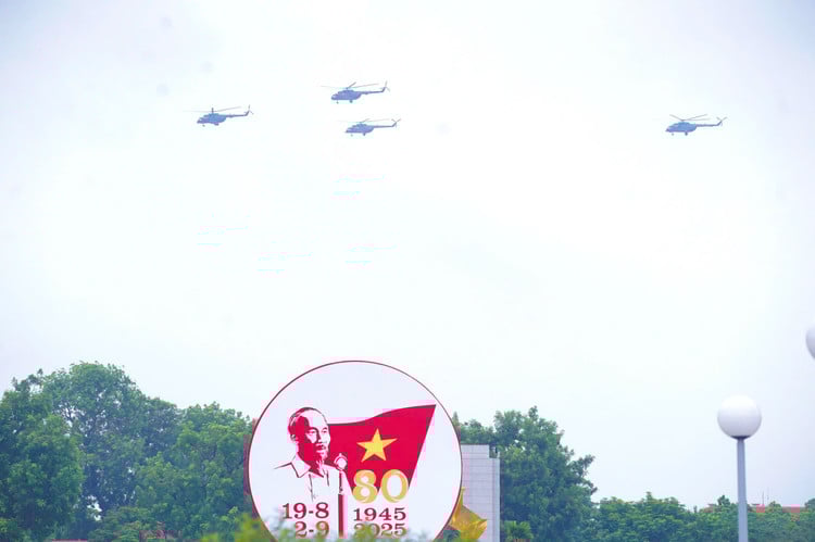 son-3.jpg