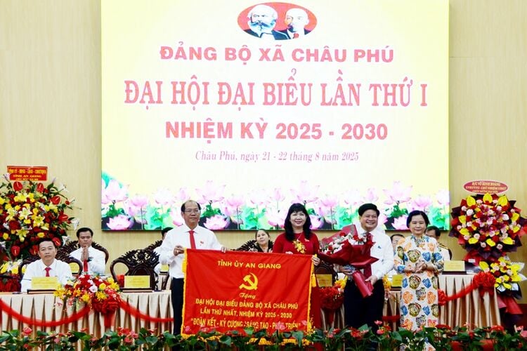 Striving to build Chau Phu commune into a type IV urban area by 2030