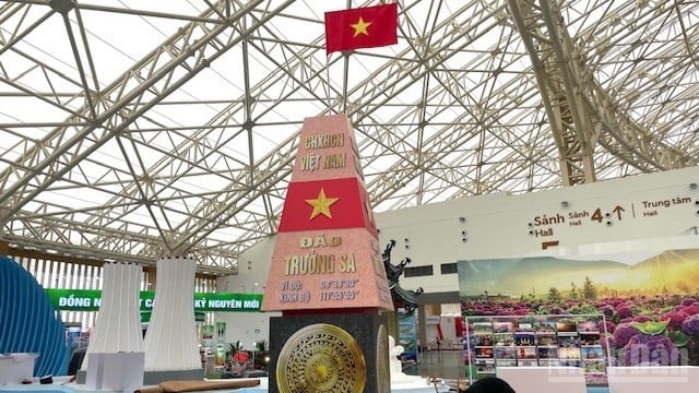 ndo_br_img-0370-7079.jpg