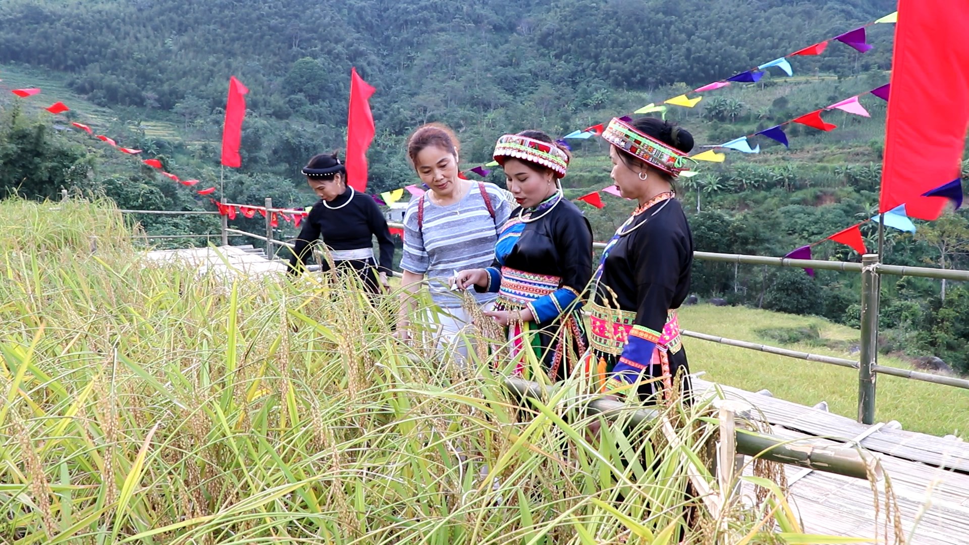 Gạo nếp Tài – Dẻo thơm từ nguồn cội