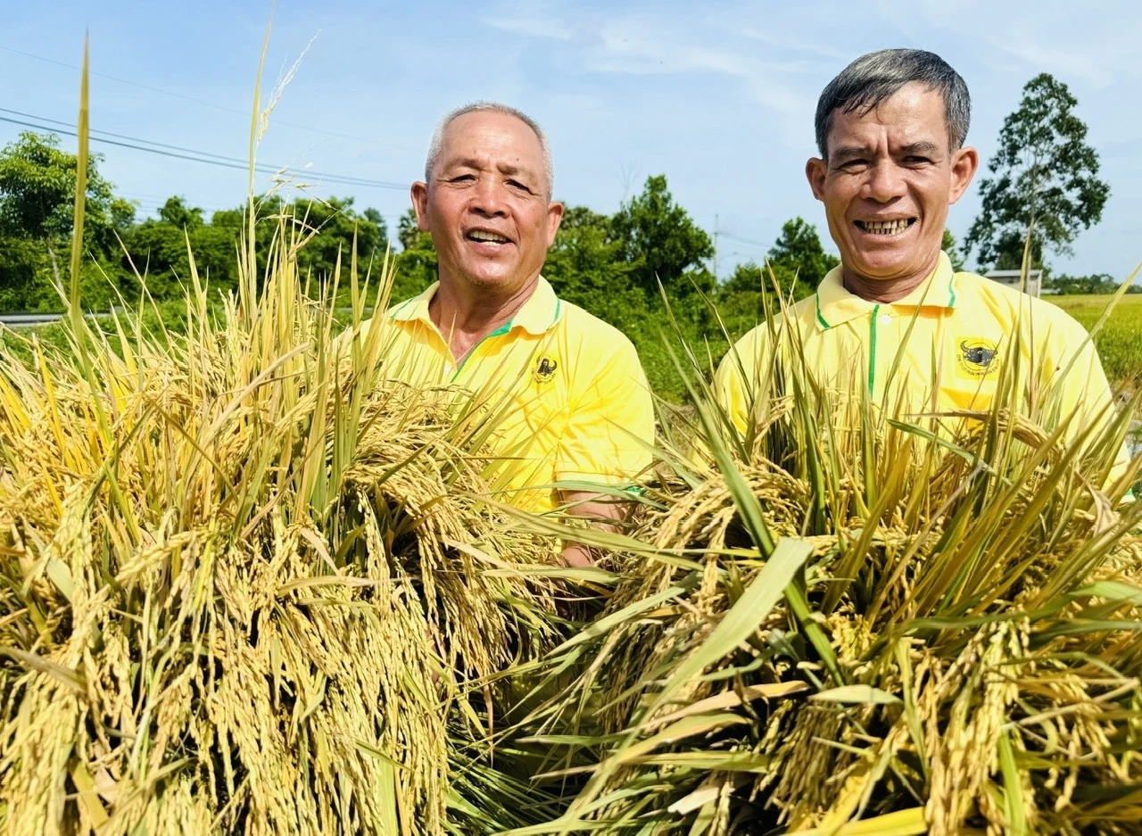 Binh Dien - ដំណើរ​ជាង​កន្លះ​សតវត្ស​បម្រើ​កសិករ​និង​ចក្ខុវិស័យ​ត្រួសត្រាយ​នៃ​ការ​បៃតង​និង​ឌីជីថលភាវូបនីយកម្ម