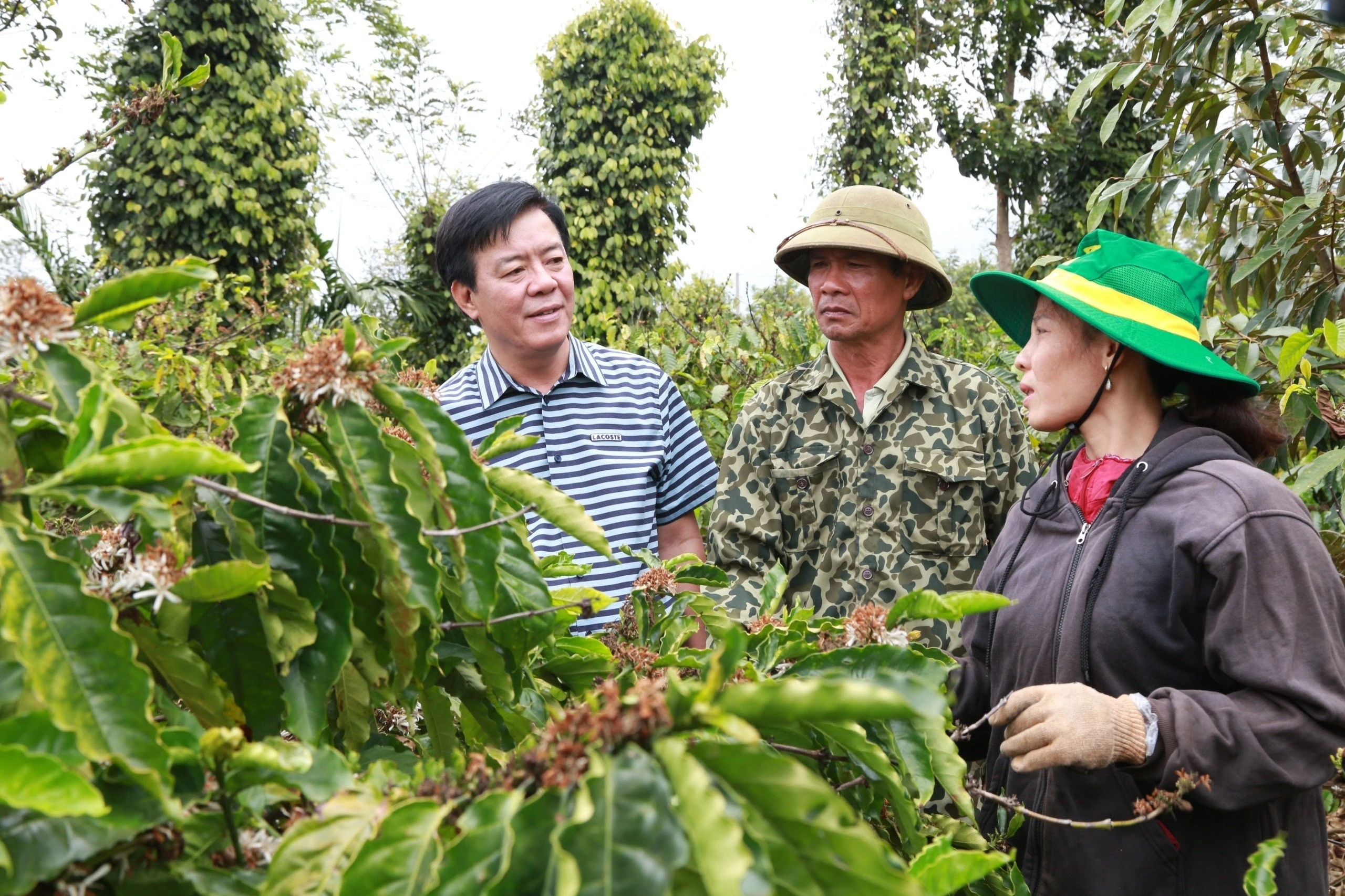 Binh Dien - ដំណើរ​ជាង​កន្លះ​សតវត្ស​បម្រើ​កសិករ​និង​ចក្ខុវិស័យ​ត្រួសត្រាយ​នៃ​ការ​បៃតង​និង​ឌីជីថលភាវូបនីយកម្ម