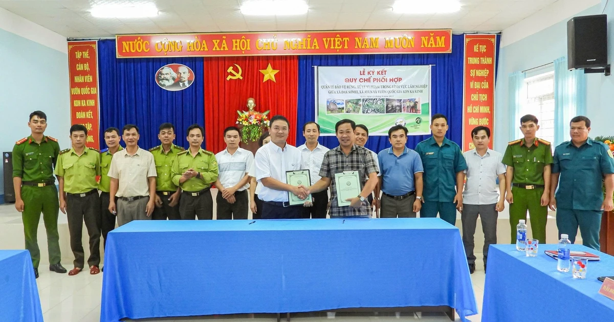 Gia Lai: Ký kết quy chế phối hợp trong quản lý, bảo vệ và phát triển rừng