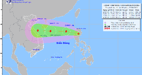 熱帯低気圧が5号台風に発達し、広範囲に影響が出ると予測