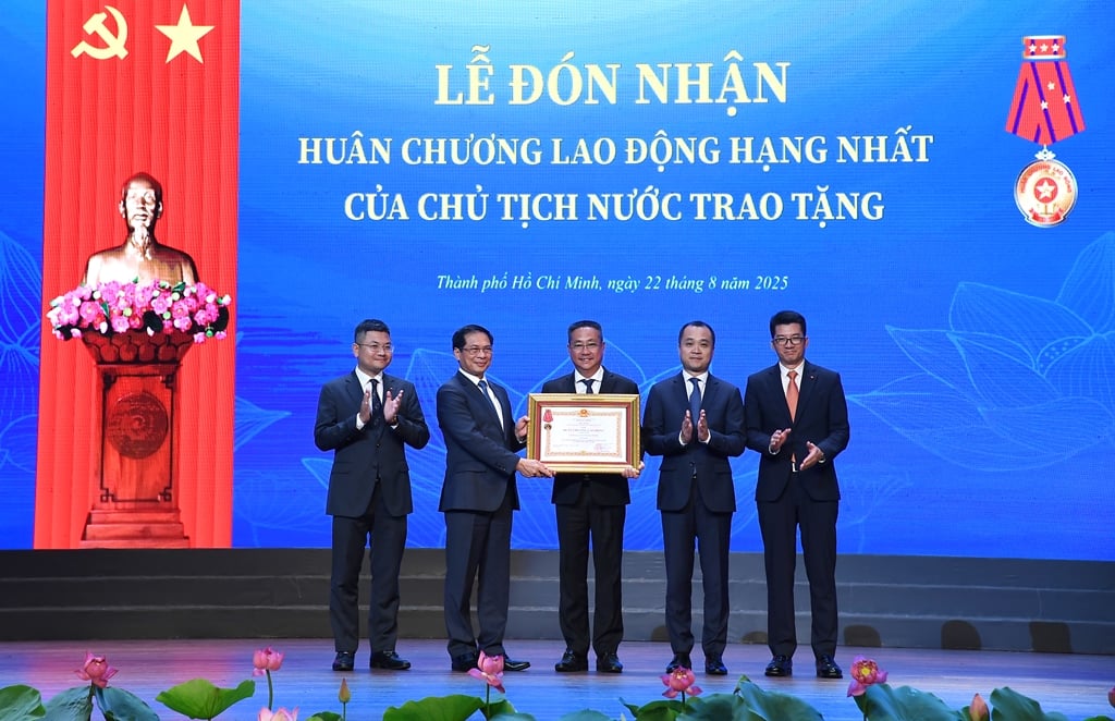 TPHCM cần 