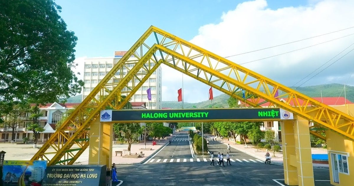 Điểm chuẩn Trường Đại học Hạ Long 2025
