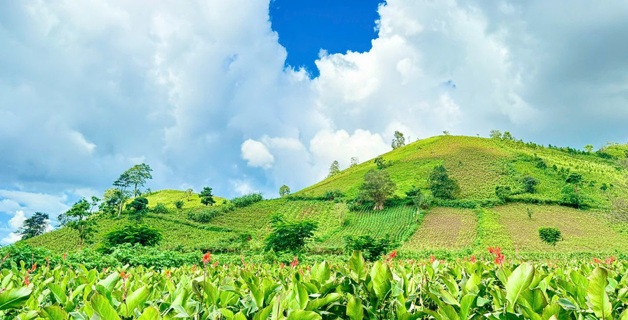 khi-nhung-mua-hoa-ve-ben-nui-chu-dang-ya-se-khien-lu-khach-xuyen-xao-ma-tim-den-ve-dep-giua-thien-nhien-nui-doi-anh-hoang-nhi.jpg