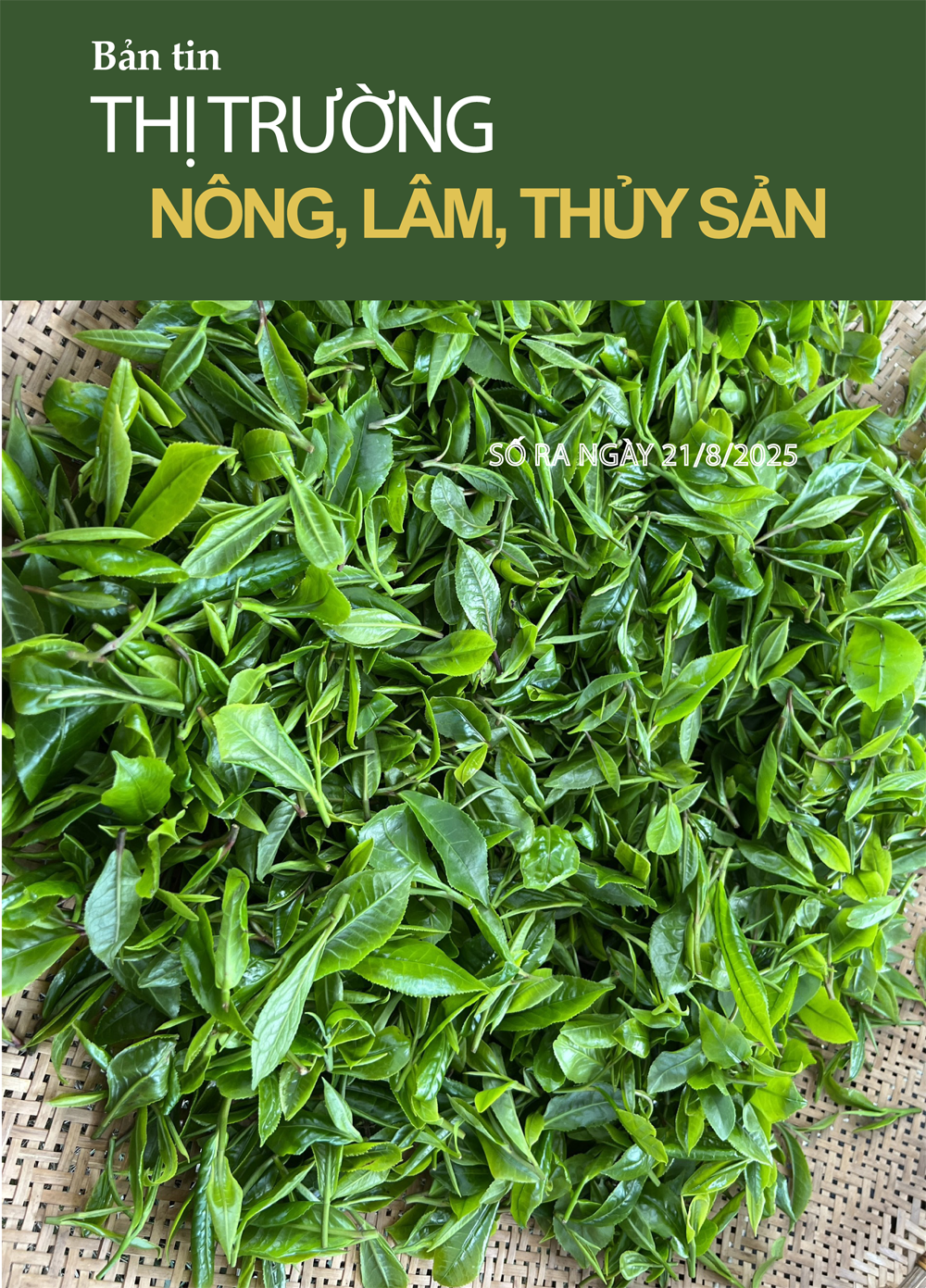 ព្រឹត្តិបត្រទីផ្សារកសិកម្ម រុក្ខាប្រមាញ់ និងនេសាទ ចេញថ្ងៃទី២២ ខែសីហា ឆ្នាំ២០២៥