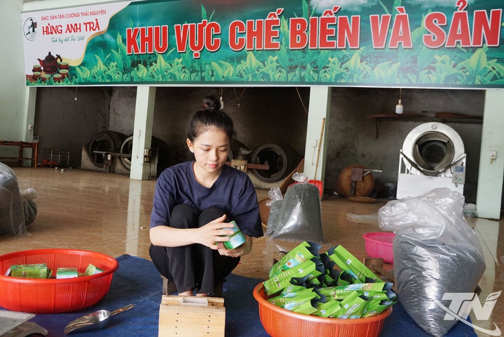 នៅពេលដែល Gen Z ផលិតតែ