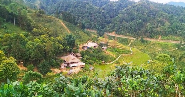 Lào Cai: Thành lập Quỹ hỗ trợ nông dân góp phần phát triển kinh tế nông thôn