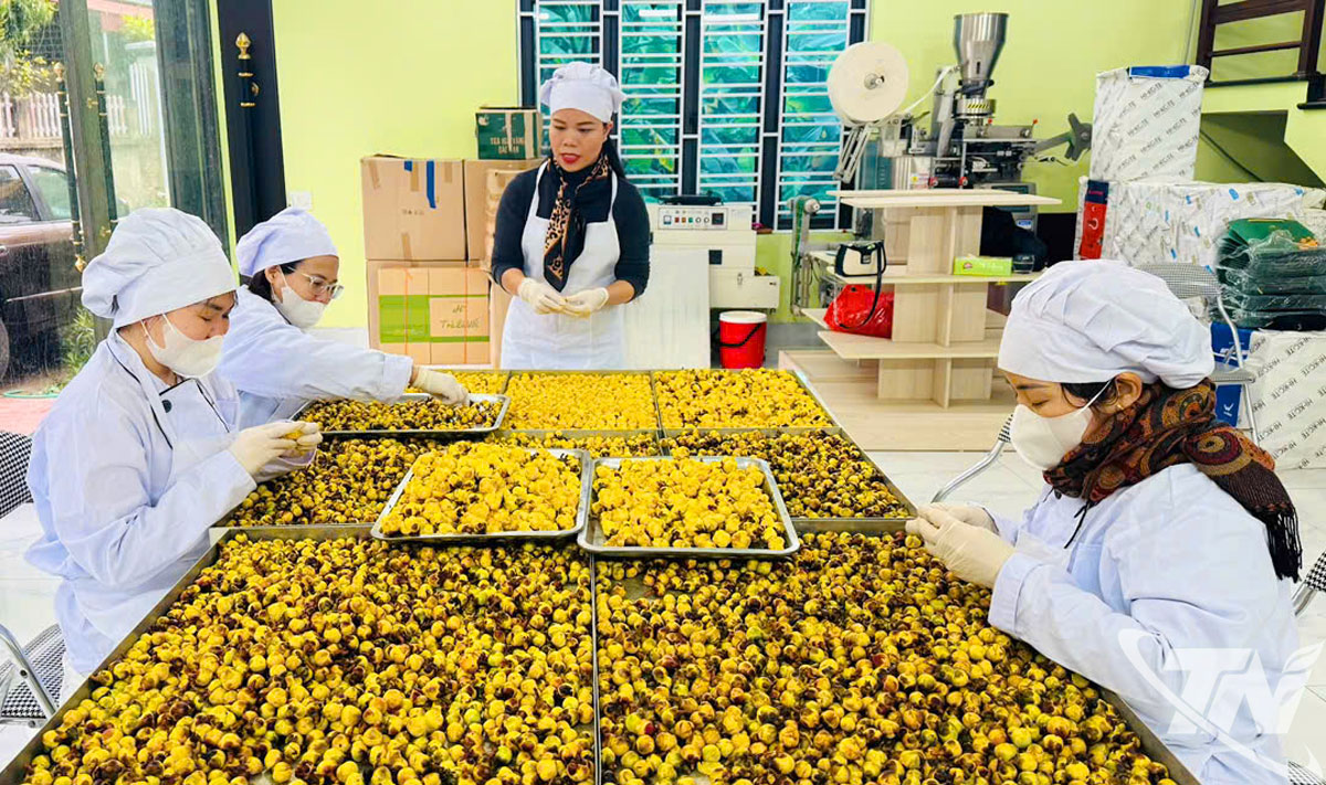 Sản phẩm OCOP: Nâng tầm giá trị truyền thống