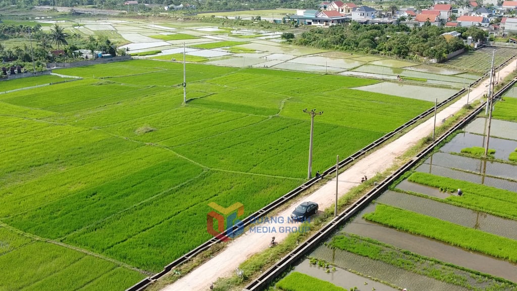 ปีนี้ทั้งจังหวัดปลูกข้าวฤดูหนาว-ฤดูใบไม้ผลิเกือบ 22,000 เฮกตาร์