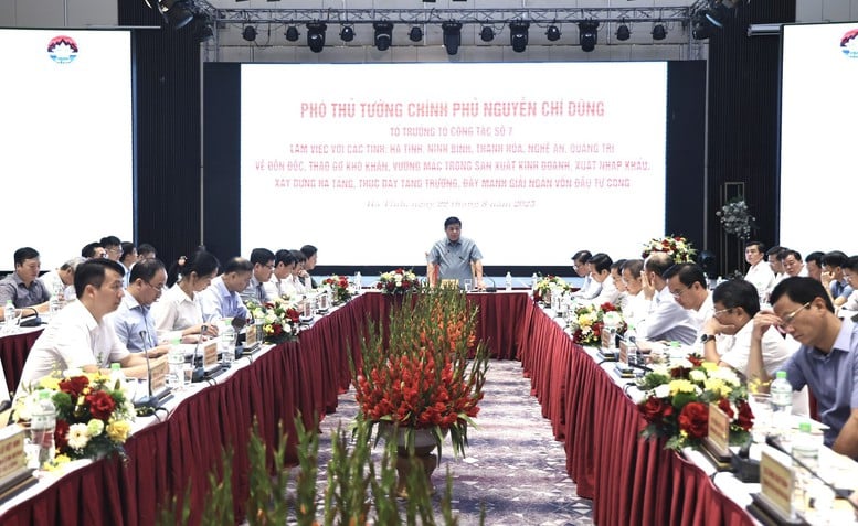 Phó Thủ tướng Nguyễn Chí Dũng làm việc với 5 địa phương để 'gỡ vướng', thúc đẩy tăng trưởng- Ảnh 9.