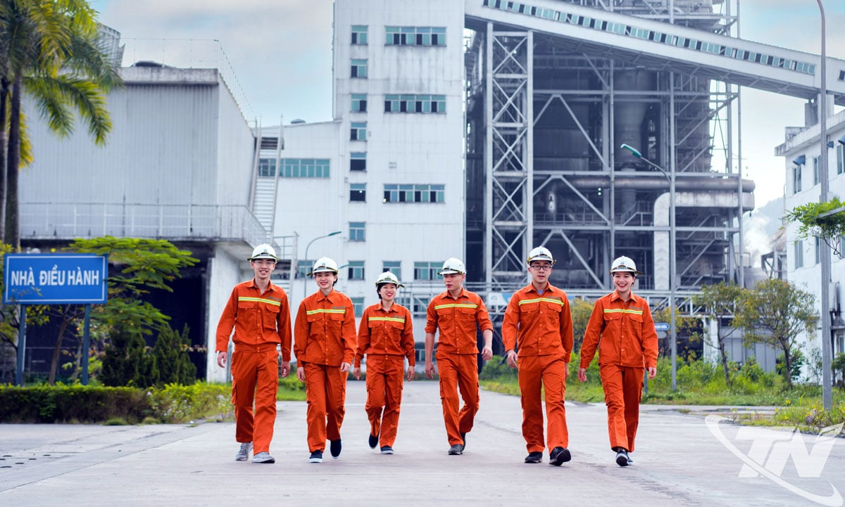 La centrale thermique d'An Khanh crée des emplois réguliers pour plus de 500 travailleurs, dont la plupart sont des locaux.
