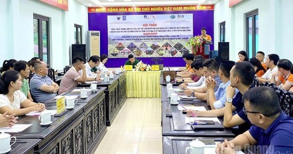 Hội thảo phát triển mạng lưới đối tác, kết nối du lịch