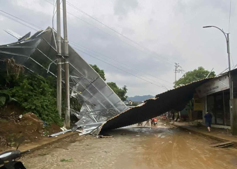 Thunderstorms injured one person and damaged many properties and crops.