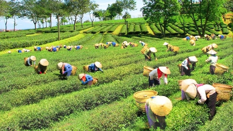 Tạo điều kiện để đồng bào dân tộc thiểu số cùng đất nước bước vào kỷ nguyên phát triển mới - Ảnh 1.