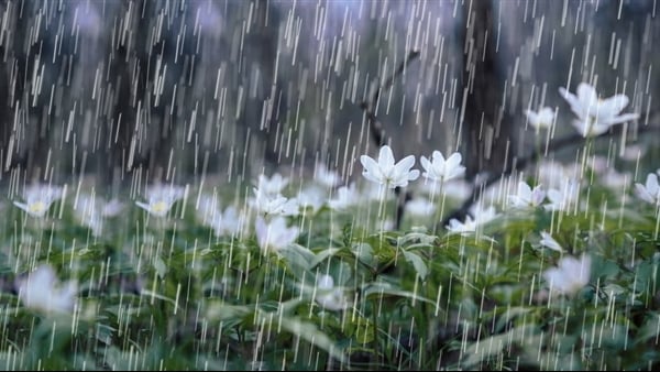 Vùng núi Bắc Bộ mưa to, Hà Nội trời nắng đẹp