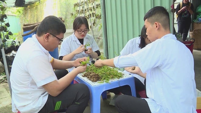 Từ cánh đồng đến bàn ăn: hành trình hội nhập của nông sản Việt Nam - Ảnh 6.
