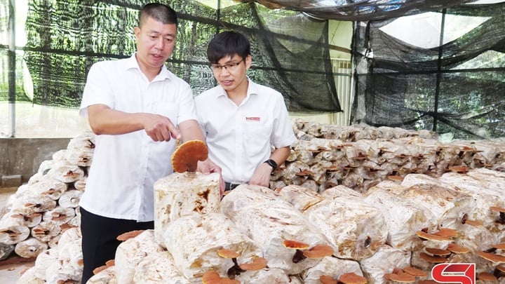 Điểm tựa vốn phát triển nông nghiệp, nông thôn