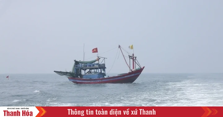 Thanh Hóa chủ động ứng phó với vùng áp thấp có khả năng mạnh lên thành áp thấp nhiệt đới và bão