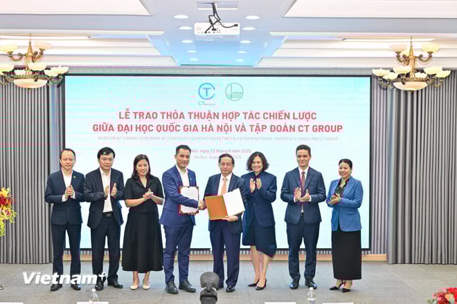 vnp-chip-ban-dan39.jpg