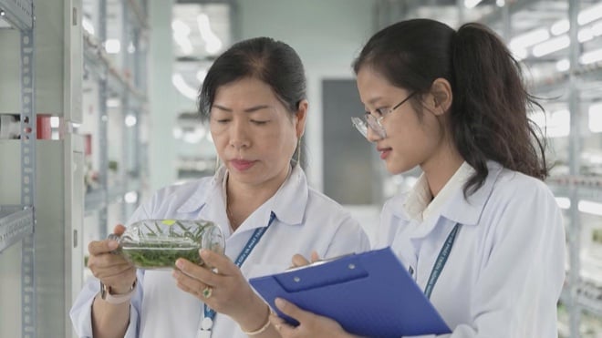Từ cánh đồng đến bàn ăn: hành trình hội nhập của nông sản Việt Nam - Ảnh 7.