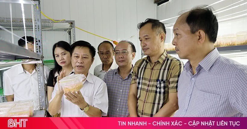 Ha Tinh មានផលិតផលចំនួន 8 ដែលត្រូវបានស្នើឡើងសម្រាប់ការវាយតម្លៃ និងចាត់ថ្នាក់ផលិតផល OCOP ផ្កាយ 4