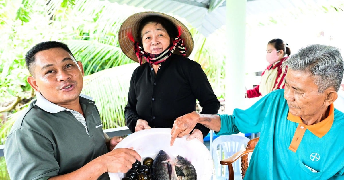 Về vùng cá đồng U Minh Thượng nghe dân kể chuyện ăn nên làm ra nhờ nuôi cá đồng
