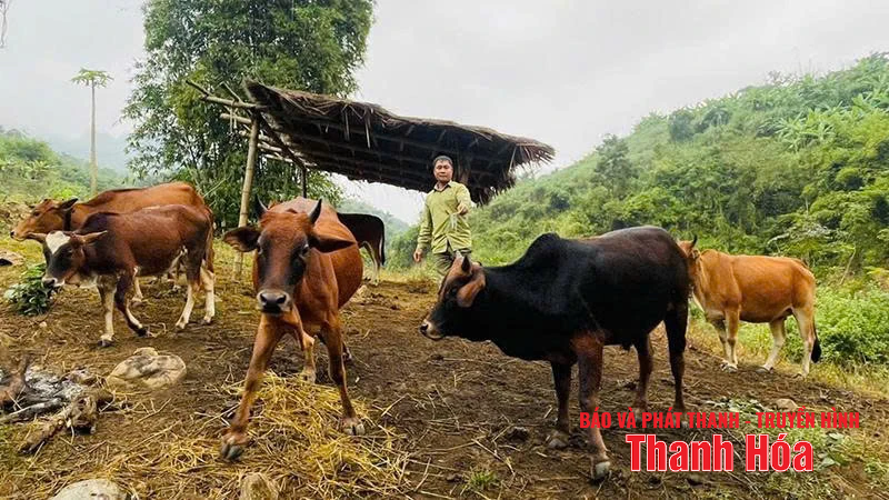 ស្ពាន​ជួយ​ប្រជាជន​ឃុំ​មួង​ចាញ់​រួច​ផុត​ពី​ភាព​ក្រីក្រ