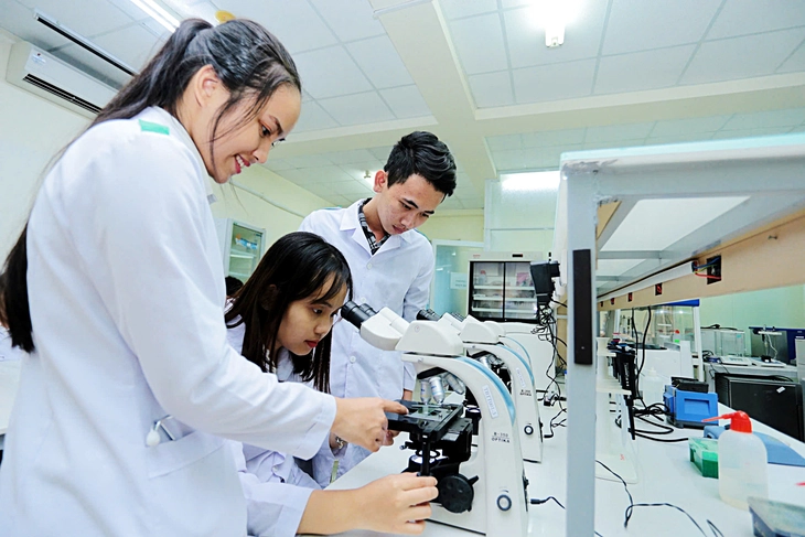 Đại học Quốc gia TP.HCM - Ảnh 1.