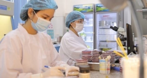 Hanói refuerza la prevención de epidemias y garantiza la seguridad absoluta en el Día Nacional el 2 de septiembre