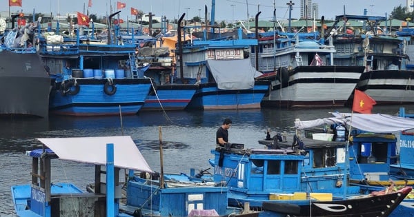 Central localities urgently respond to storm No. 5